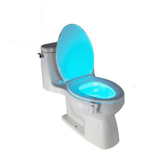 Auto LED Toilet Bowl Light