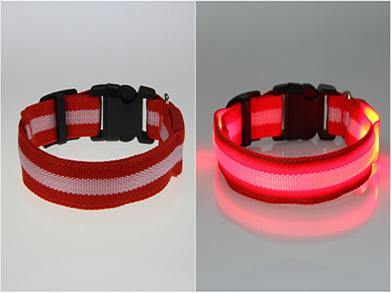 LED Dog Collar