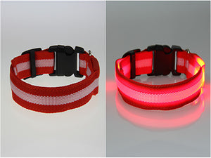 LED Dog Collar