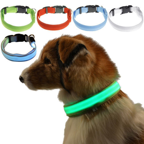 LED Dog Collar